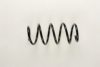RENAU 8200304229 Coil Spring